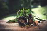 How to welcome CBD to your world!